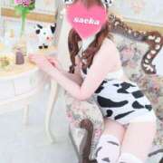 ヒメ日記 2025/10/18 19:41 投稿 さえか 横浜ミセスアロマ（ユメオト）