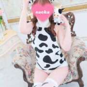 ヒメ日記 2025/11/24 13:33 投稿 さえか 横浜ミセスアロマ（ユメオト）