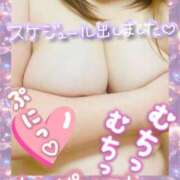 ヒメ日記 2025/01/19 13:45 投稿 せな 宮崎ちゃんこ都城店