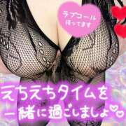 ヒメ日記 2025/03/18 09:53 投稿 せな 宮崎ちゃんこ都城店