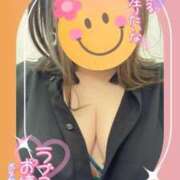 ヒメ日記 2025/03/19 10:05 投稿 せな 宮崎ちゃんこ都城店