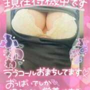 ヒメ日記 2025/03/19 11:25 投稿 せな 宮崎ちゃんこ都城店