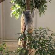 ヒメ日記 2025/03/22 21:35 投稿 せな 宮崎ちゃんこ都城店