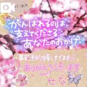 ヒメ日記 2025/04/02 15:15 投稿 せな 宮崎ちゃんこ都城店