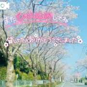 ヒメ日記 2025/04/04 22:05 投稿 せな 宮崎ちゃんこ都城店