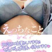 ヒメ日記 2025/04/08 11:25 投稿 せな 宮崎ちゃんこ都城店