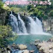 ヒメ日記 2025/04/09 20:28 投稿 せな 宮崎ちゃんこ都城店