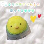 ヒメ日記 2025/04/16 13:05 投稿 せな 宮崎ちゃんこ都城店