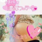 ヒメ日記 2025/05/09 13:55 投稿 せな 宮崎ちゃんこ都城店