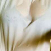 ヒメ日記 2025/05/11 11:05 投稿 せな 宮崎ちゃんこ都城店