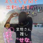 ヒメ日記 2025/05/14 06:15 投稿 せな 宮崎ちゃんこ都城店