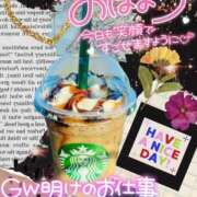 ヒメ日記 2025/05/15 05:05 投稿 せな 宮崎ちゃんこ都城店