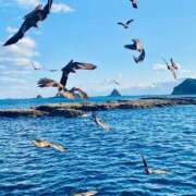 ヒメ日記 2025/05/22 05:17 投稿 せな 宮崎ちゃんこ都城店