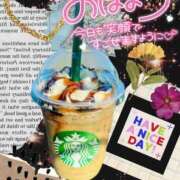 ヒメ日記 2025/05/25 05:15 投稿 せな 宮崎ちゃんこ都城店