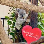 ヒメ日記 2025/06/04 05:05 投稿 せな 宮崎ちゃんこ都城店