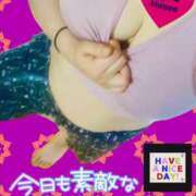 ヒメ日記 2025/06/07 05:15 投稿 せな 宮崎ちゃんこ都城店