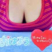 ヒメ日記 2025/06/11 05:05 投稿 せな 宮崎ちゃんこ都城店