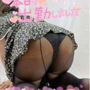 ヒメ日記 2025/06/16 10:15 投稿 せな 宮崎ちゃんこ都城店