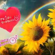 ヒメ日記 2025/07/16 05:15 投稿 せな 宮崎ちゃんこ都城店