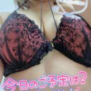 ヒメ日記 2025/08/04 05:05 投稿 せな 宮崎ちゃんこ都城店