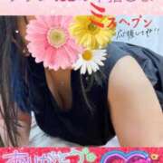 ヒメ日記 2025/08/12 09:25 投稿 せな 宮崎ちゃんこ都城店