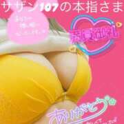 ヒメ日記 2025/08/28 00:58 投稿 せな 宮崎ちゃんこ都城店