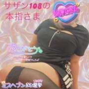 ヒメ日記 2025/09/03 00:15 投稿 せな 宮崎ちゃんこ都城店