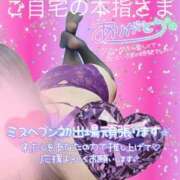 ヒメ日記 2025/09/06 01:49 投稿 せな 宮崎ちゃんこ都城店