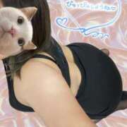 ヒメ日記 2025/09/08 10:55 投稿 せな 宮崎ちゃんこ都城店