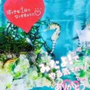 ヒメ日記 2025/09/09 08:45 投稿 せな 宮崎ちゃんこ都城店
