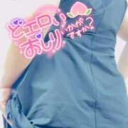 ヒメ日記 2025/09/12 05:15 投稿 せな 宮崎ちゃんこ都城店