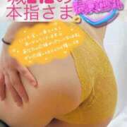 ヒメ日記 2025/09/13 16:05 投稿 せな 宮崎ちゃんこ都城店