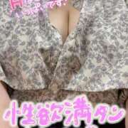 ヒメ日記 2025/09/19 05:15 投稿 せな 宮崎ちゃんこ都城店