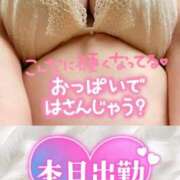 ヒメ日記 2025/09/22 05:15 投稿 せな 宮崎ちゃんこ都城店