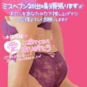 ヒメ日記 2025/09/28 23:15 投稿 せな 宮崎ちゃんこ都城店