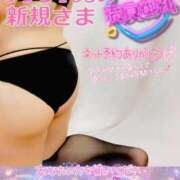 ヒメ日記 2025/10/14 21:15 投稿 せな 宮崎ちゃんこ都城店