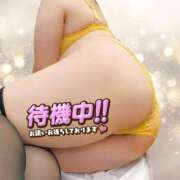 ヒメ日記 2025/10/17 11:55 投稿 せな 宮崎ちゃんこ都城店