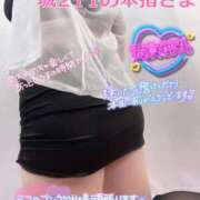 ヒメ日記 2025/10/21 01:35 投稿 せな 宮崎ちゃんこ都城店