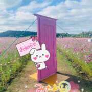 ヒメ日記 2025/11/07 10:55 投稿 せな 宮崎ちゃんこ都城店