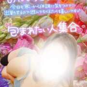 ヒメ日記 2025/11/14 05:15 投稿 せな 宮崎ちゃんこ都城店