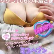 ヒメ日記 2025/11/15 12:05 投稿 せな 宮崎ちゃんこ都城店