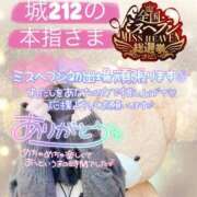 ヒメ日記 2025/11/17 19:55 投稿 せな 宮崎ちゃんこ都城店