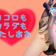 ヒメ日記 2025/11/23 14:05 投稿 せな 宮崎ちゃんこ都城店