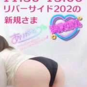 ヒメ日記 2025/12/02 16:11 投稿 せな 宮崎ちゃんこ都城店