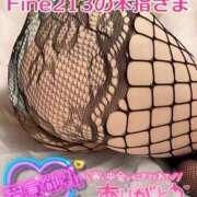 ヒメ日記 2025/12/13 14:08 投稿 せな 宮崎ちゃんこ都城店