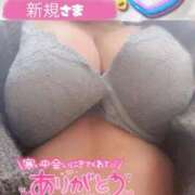 ヒメ日記 2026/01/15 11:05 投稿 せな 宮崎ちゃんこ都城店