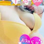 ヒメ日記 2026/01/20 22:25 投稿 せな 宮崎ちゃんこ都城店