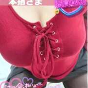 ヒメ日記 2026/02/26 18:55 投稿 せな 宮崎ちゃんこ都城店