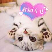 ヒメ日記 2026/03/05 09:45 投稿 せな 宮崎ちゃんこ都城店