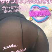 ヒメ日記 2026/03/11 23:35 投稿 せな 宮崎ちゃんこ都城店